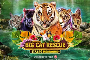 Арт слота Big Cat Rescue Megaways